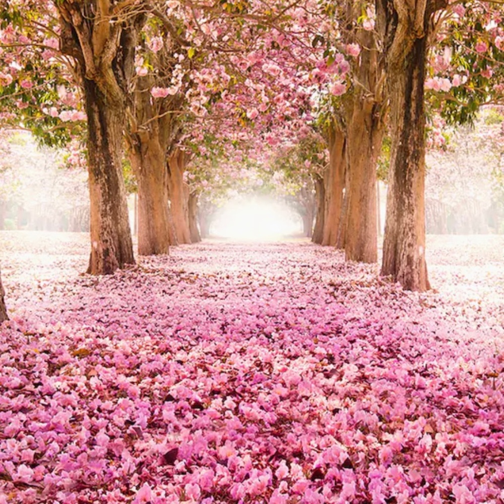 🦋 “Never Ending Path”